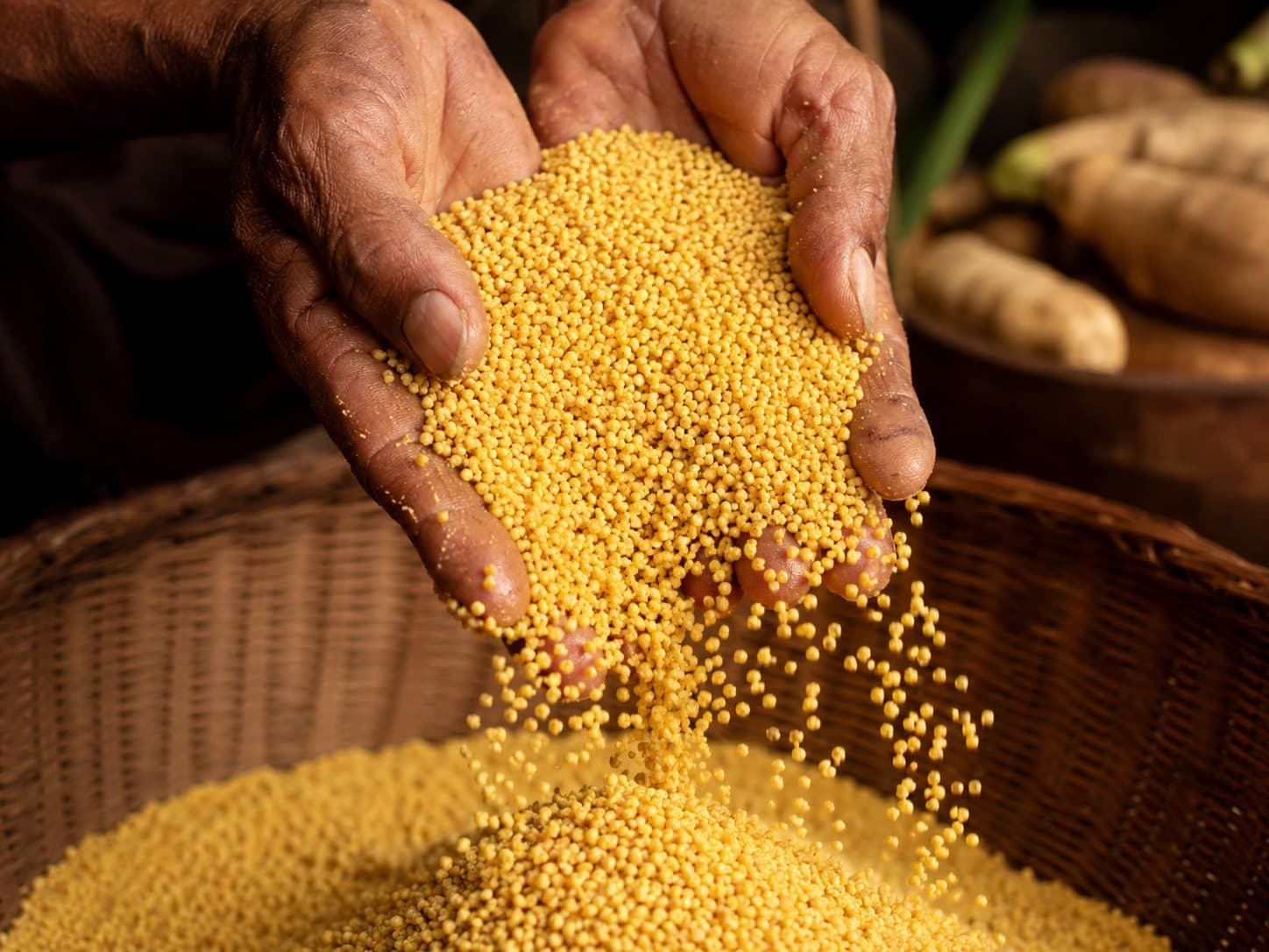 Rotulagem e montagem final dos produtos Mesa Amazônica